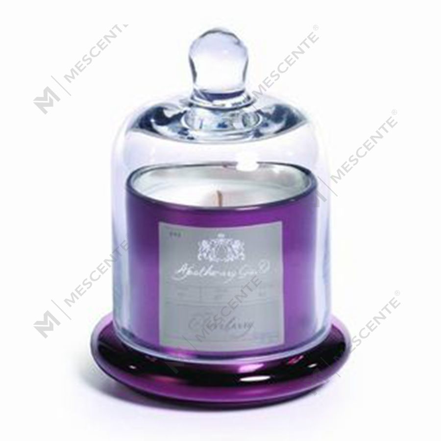 Mescente Luxury Silver Domed cover Świecznik zapachowy ze szklaną kopułą